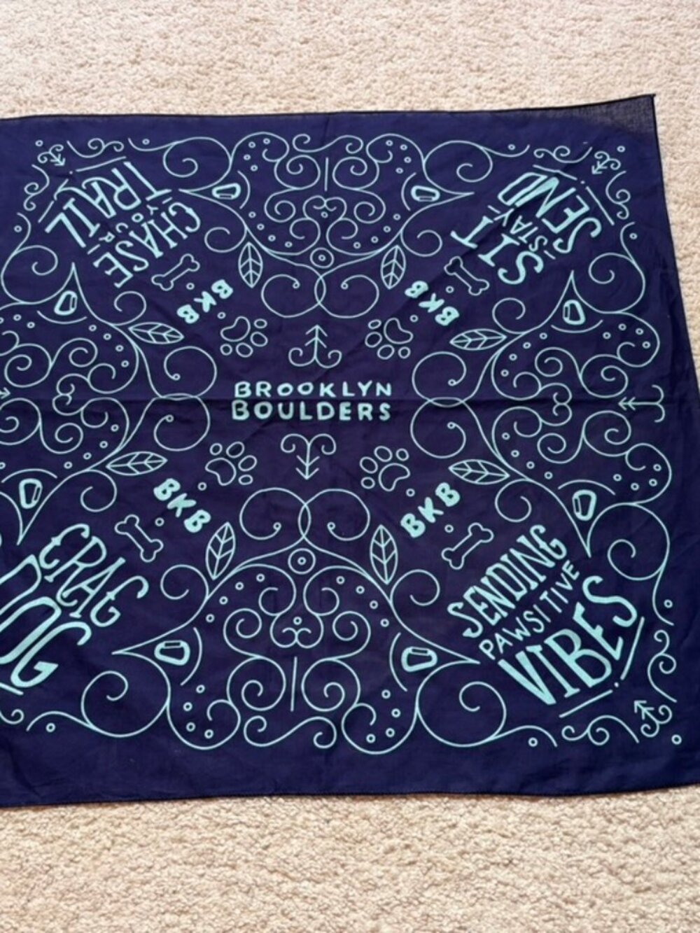 Brooklyn Boulders bandana Dog Rock climbing-themed design